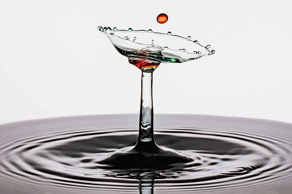 Coktail art print by Manuel Sanchez for $57.95 CAD