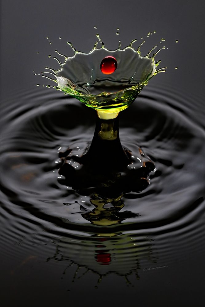 Lemon Cherry art print by Manuel Sanchez for $57.95 CAD