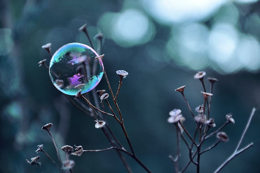 Fragile Perle art print by Gaelle Strohmenger for $57.95 CAD