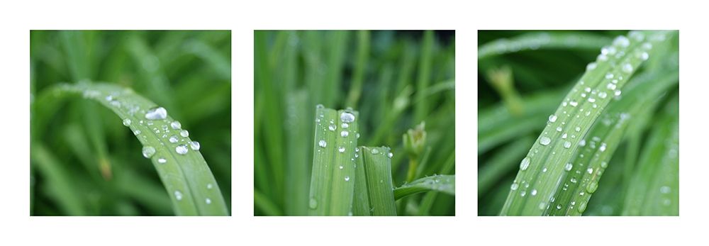 Raindrops art print by MIRA for $57.95 CAD
