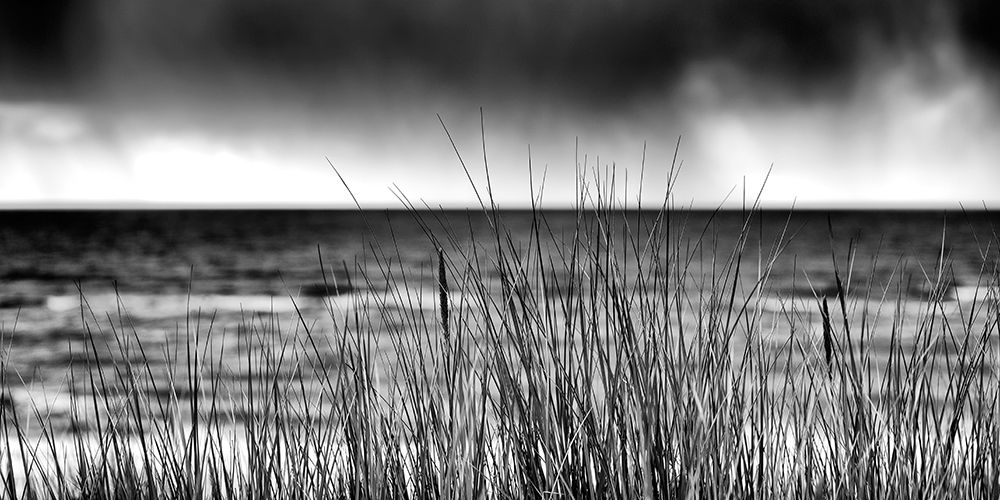 Storm I art print by Uwe Steger for $57.95 CAD
