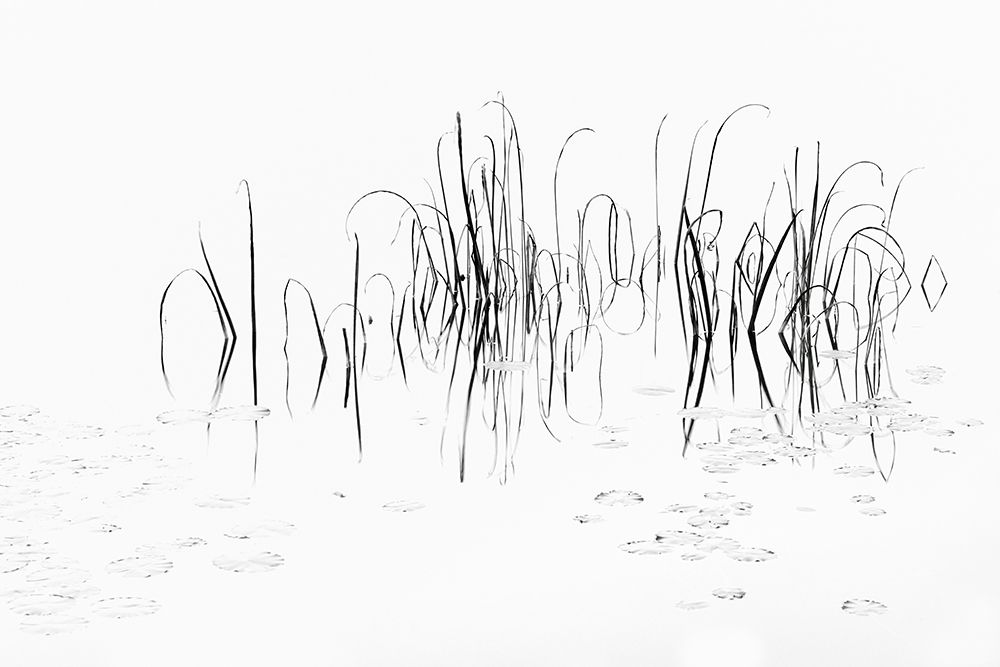 Sign II art print by Uwe Steger for $57.95 CAD