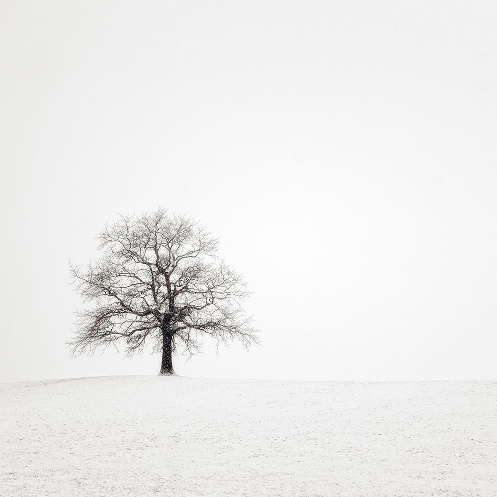 Wintersturm II art print by Uwe Steger for $57.95 CAD