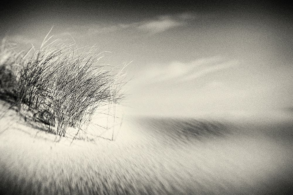 Dunes art print by Uwe Steger for $57.95 CAD