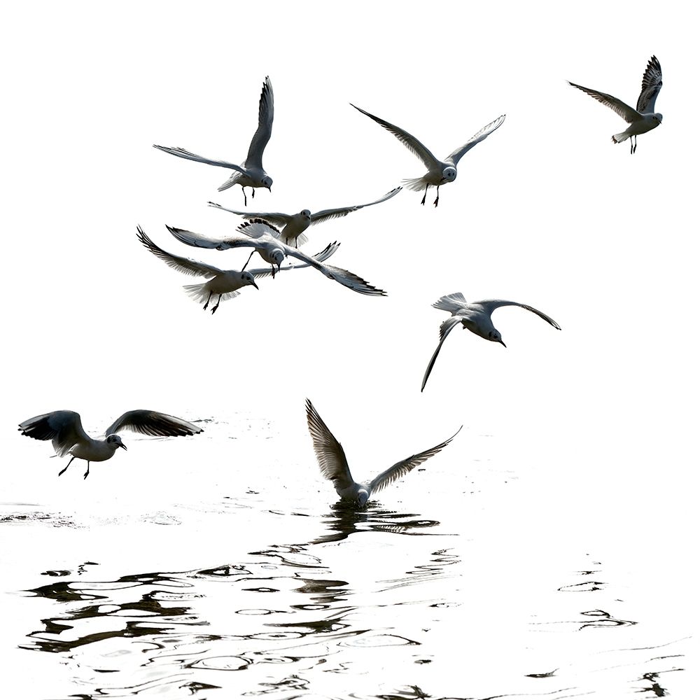 Black and White art print by Uwe Steger for $57.95 CAD