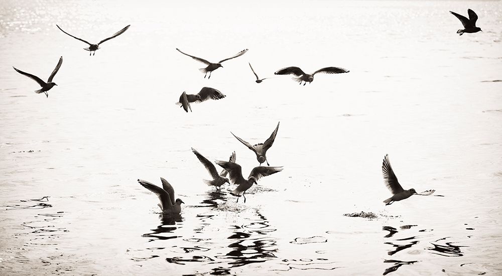 White and Black art print by Uwe Steger for $57.95 CAD