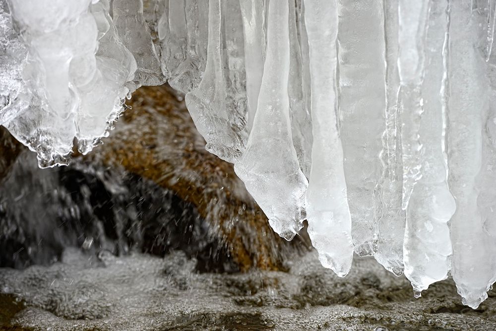 Frozen art print by Uwe Steger for $57.95 CAD