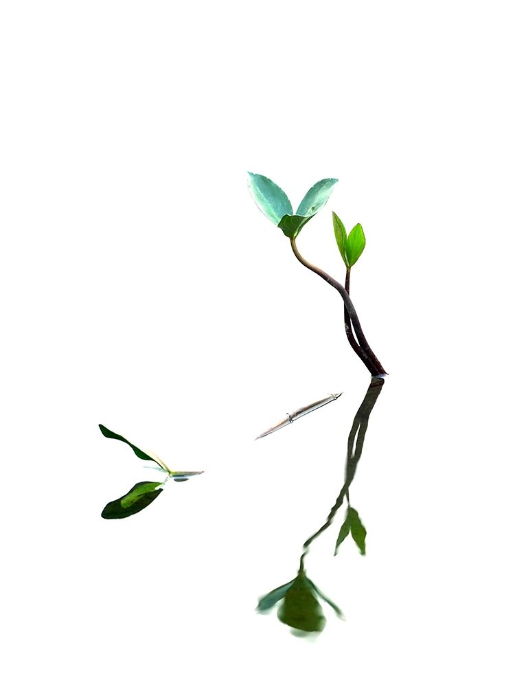 Softly Dream Part I art print by Uwe Steger for $57.95 CAD