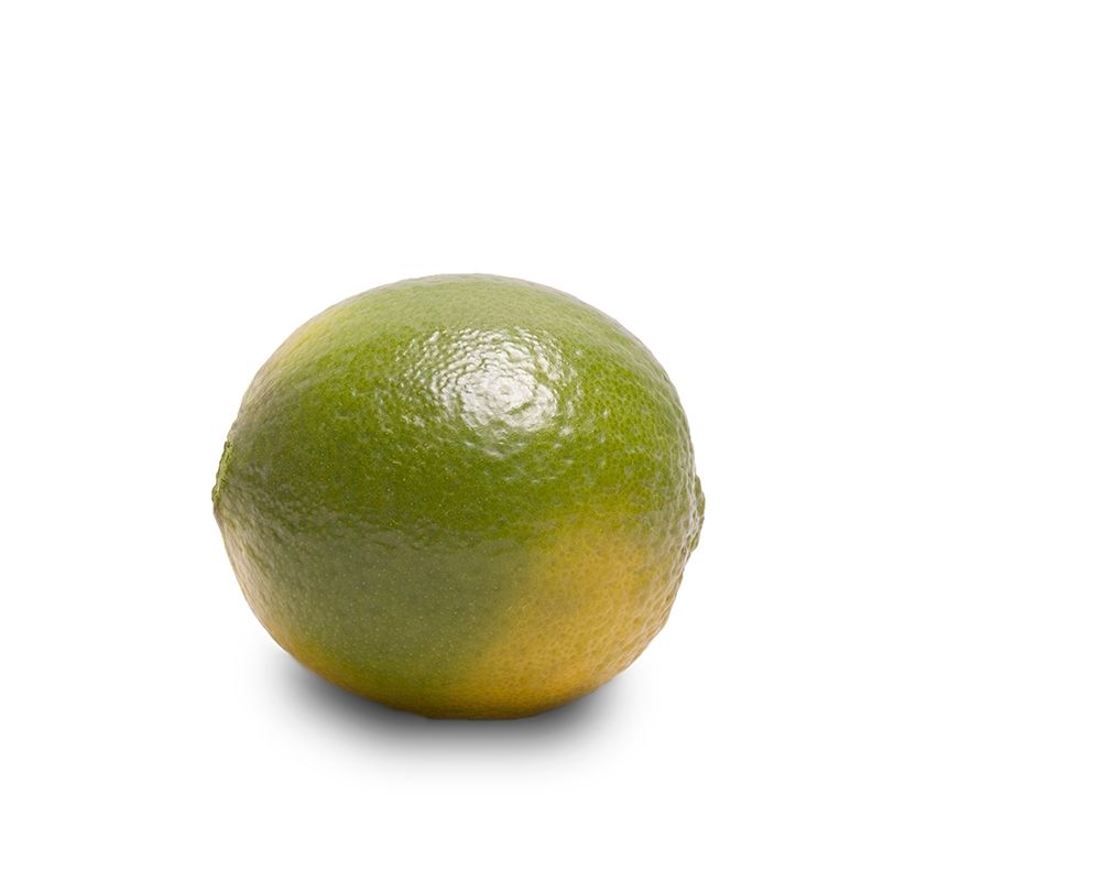 Limette art print by Volker Brosius for $57.95 CAD