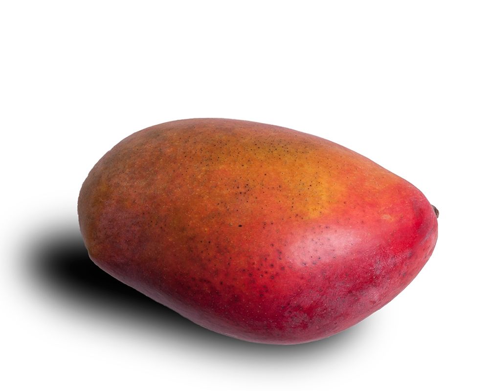 Mango art print by Volker Brosius for $57.95 CAD