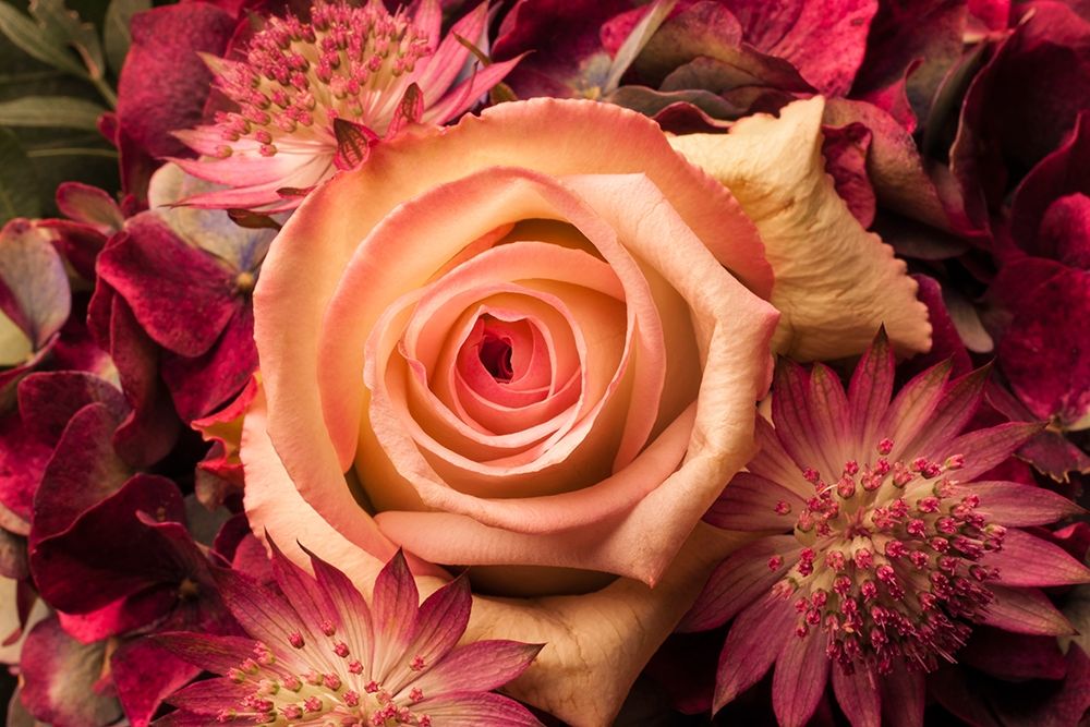 Blumengesteck II art print by Volker Brosius for $57.95 CAD