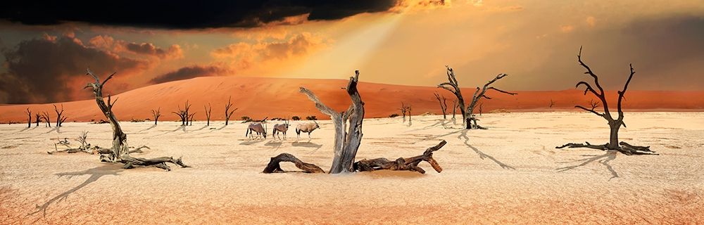 Trees in the Sandsea art print by Peter Hillert for $57.95 CAD