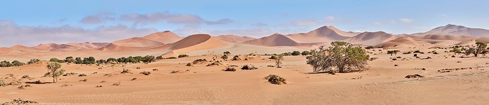 Sossusvlei Desert Namib art print by Peter Hillert for $57.95 CAD