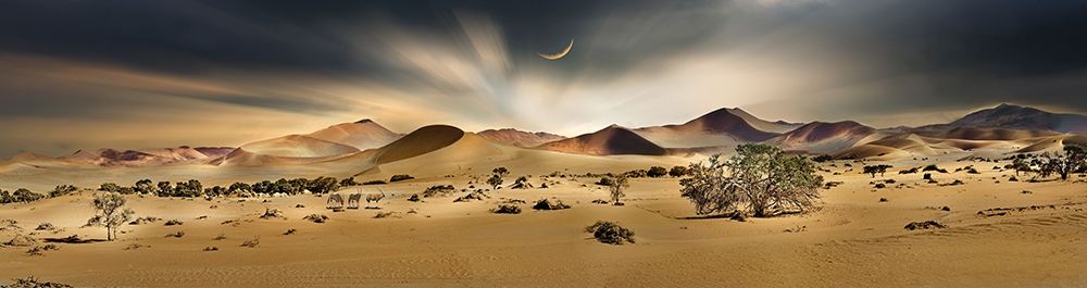 Namib Sandsea II art print by Peter Hillert for $57.95 CAD