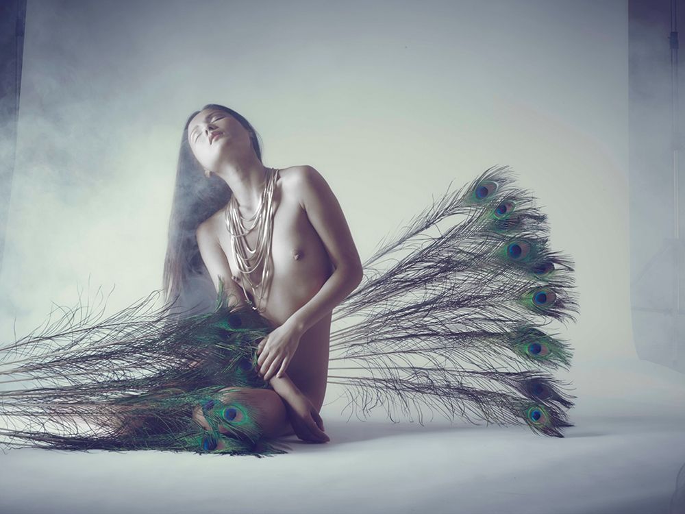 Feathers art print by Marco Milillo for $57.95 CAD