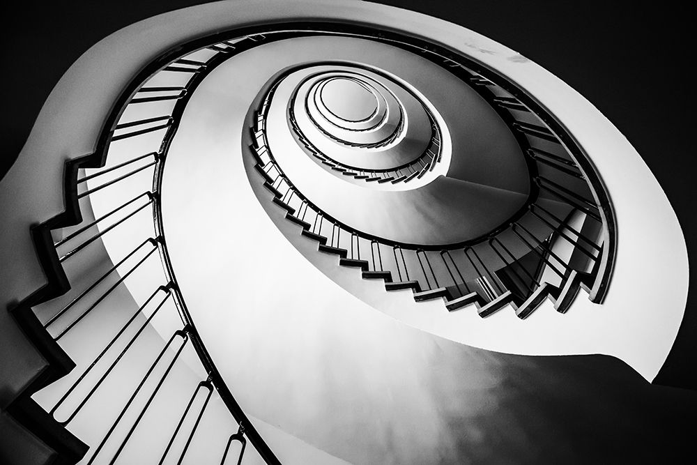 Parrot Staircase art print by Ronin for $57.95 CAD
