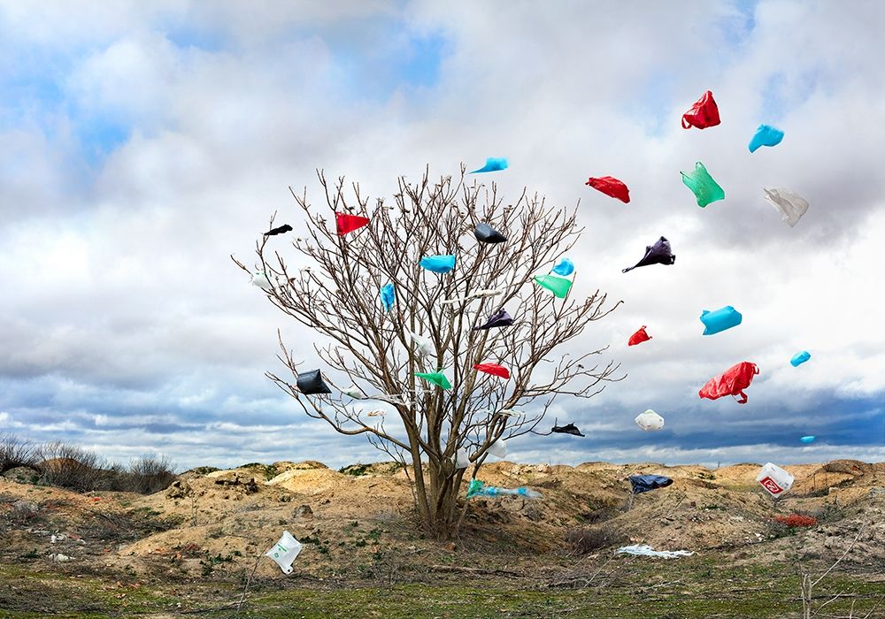 Pause Número V art print by Miguel Vallinas Prieto for $57.95 CAD