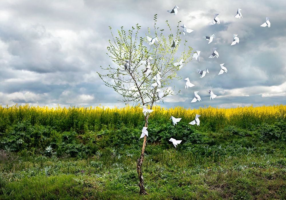 Pause Número VII art print by Miguel Vallinas Prieto for $57.95 CAD