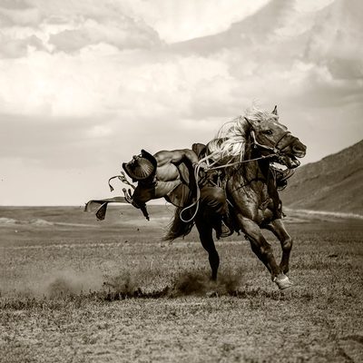 Galloping by Rachel Pansky