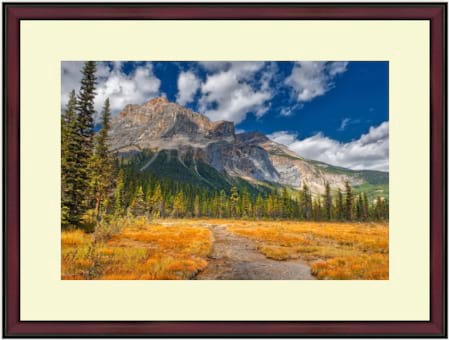 custom picture frame of Alberta lanscape